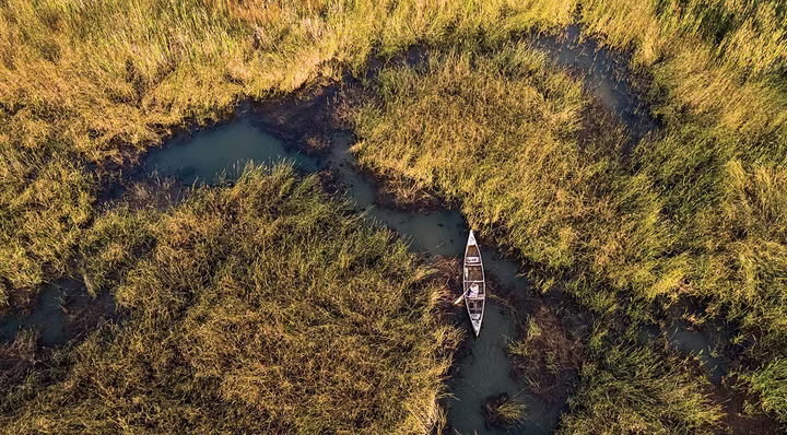 Wild Rice Story